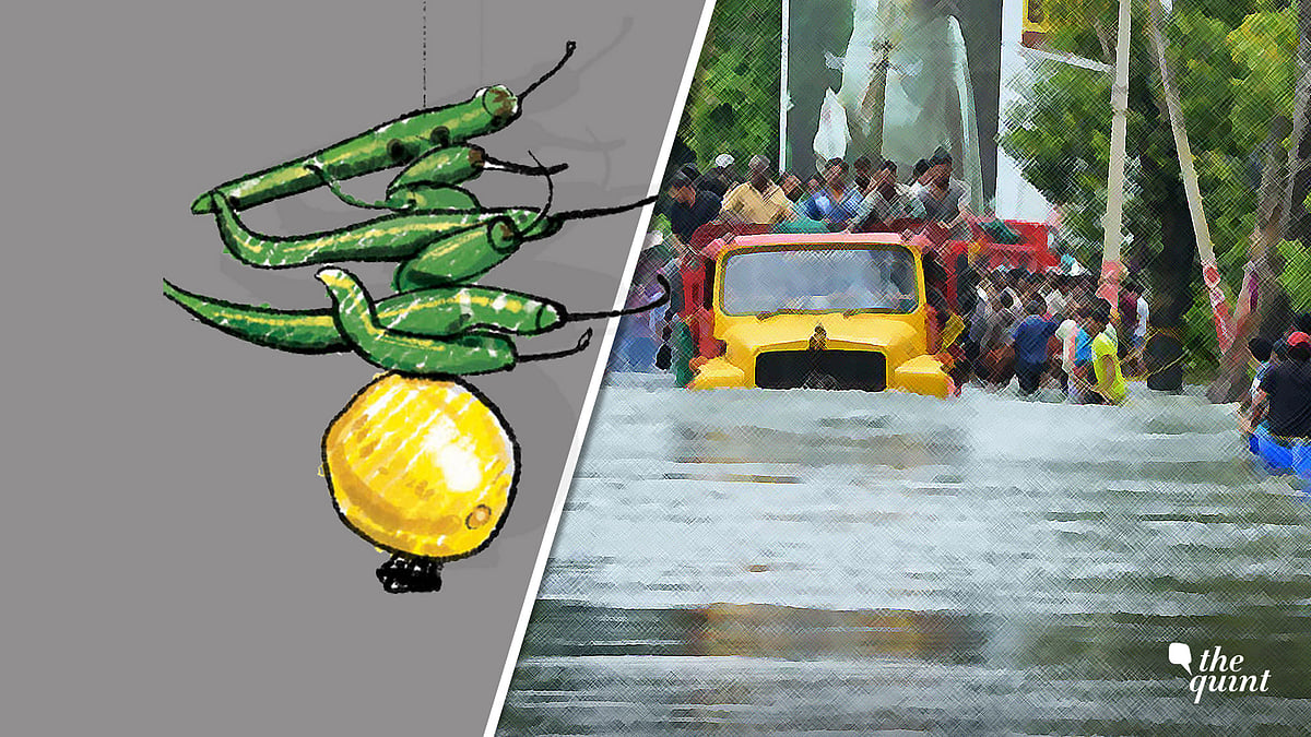 Image used for representational purposes.