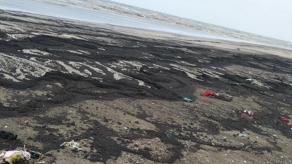 The presence of the lumps of solid crude mean there has been an oil spill in the area.