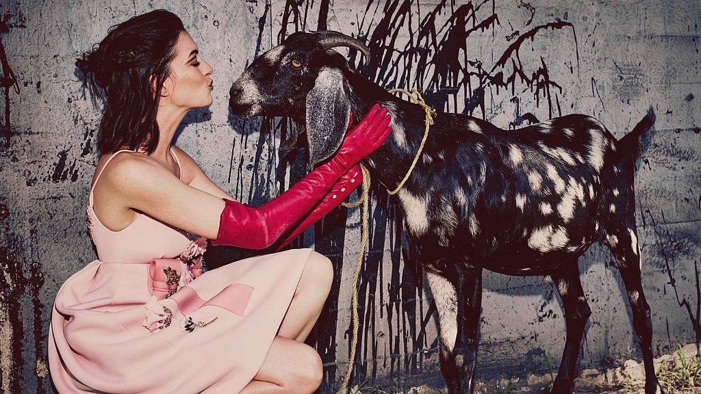 Anne Hathaway says, why can’t we all get along?