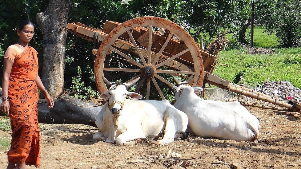 The issue of women’s land rights is neglected in India.