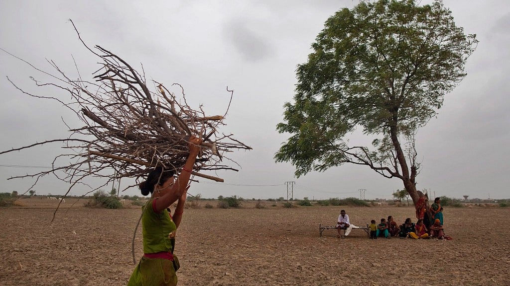Although South Gujarat and certain parts of Saurashtra have received good rainfall, Kutch, East-Central Gujarat and North Gujarat remain relatively dry. Image used for representational purpose.&nbsp;