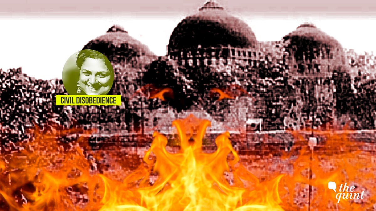 We like the sound of Muslim skulls crunched under foot. Or silenced into vegetarianism and oblivion.