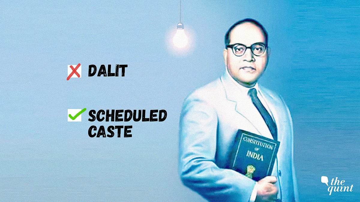 Controversy over the word ‘Dalit’: For petitioner Pankaj Meshram, ‘Scheduled Caste’ is a constitutionally valid word.