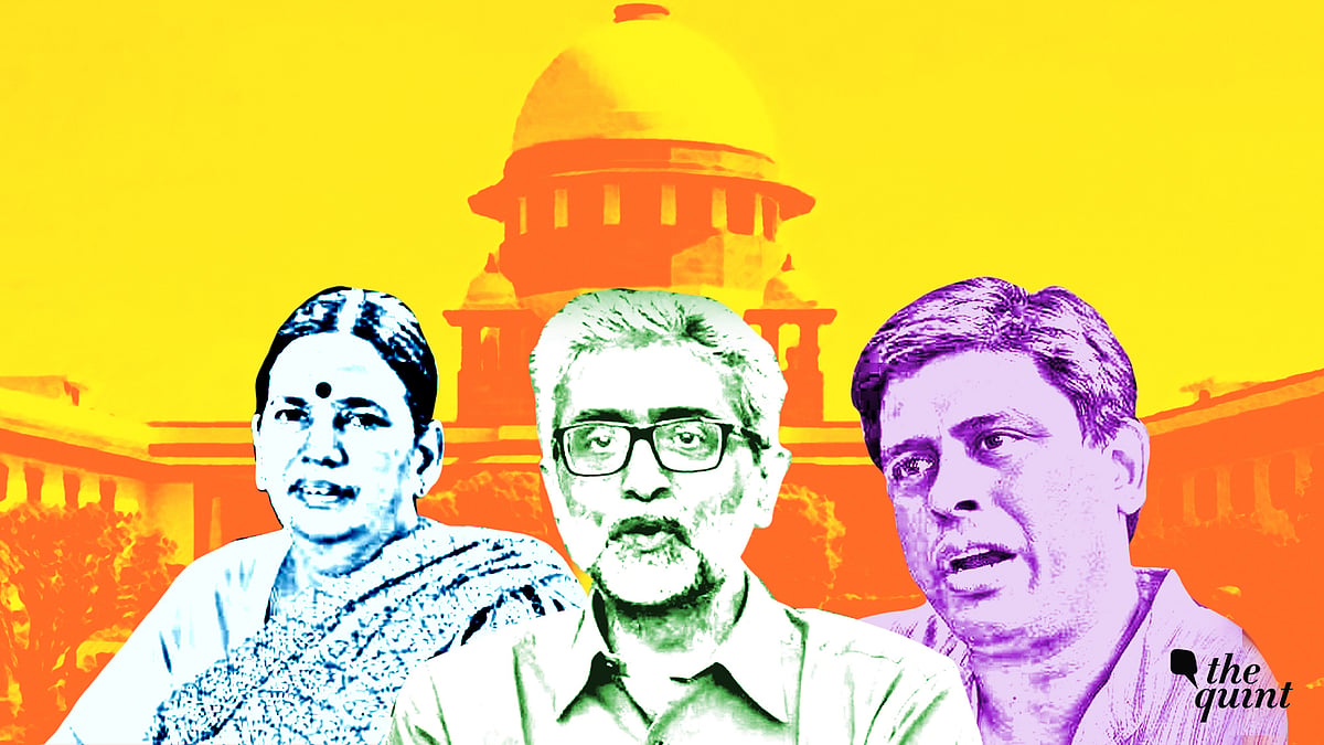 From the left; Sudha Bharadwaj, Gautam Navlakha and Arun Ferreira.