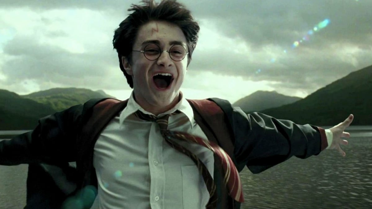 I was oblivious to the extraordinary sway of the Harry Potter series.