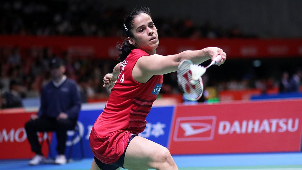 Saina Nehwal entered the finals of the Denmark Open.