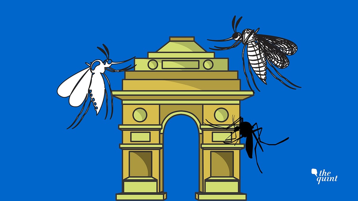 Nearly 300 fresh cases of dengue have been reported over the last one week in Delhi.