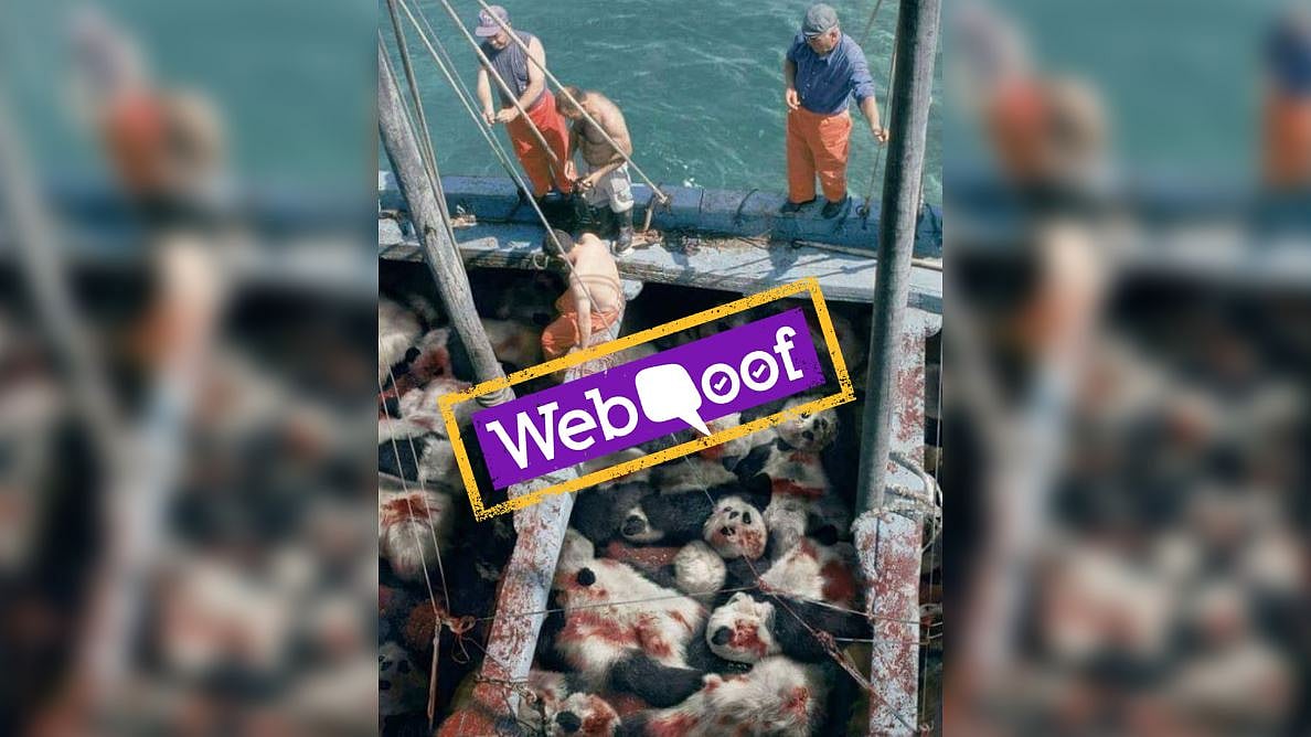 Facebook users expressed shock and dismay looking at the condition of these pandas.