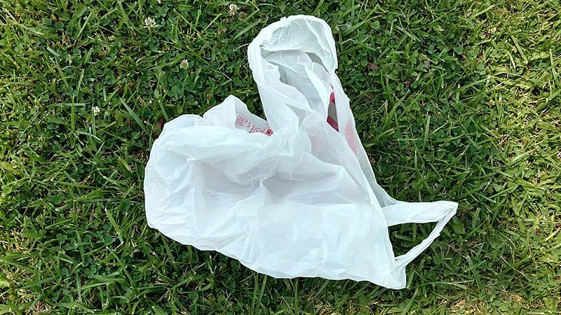In Kerala, all single-use plastic will be banned and those found violating the law will face steep fines.