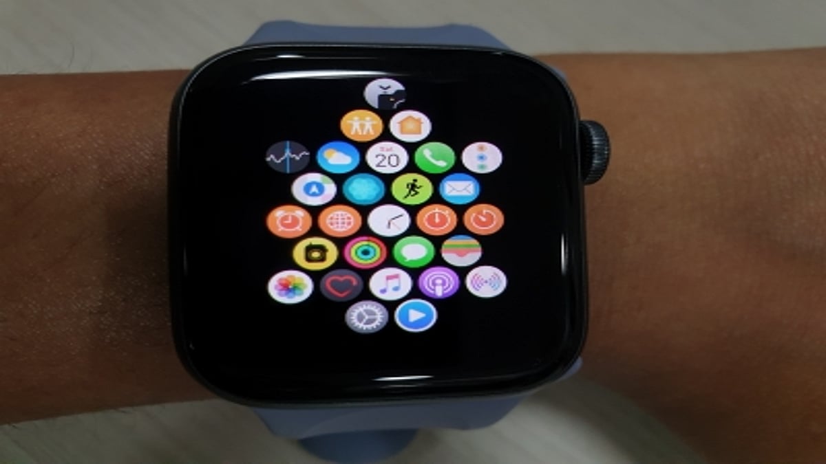 Study shows that the Apple Watch can detect irregular heartbeats.
