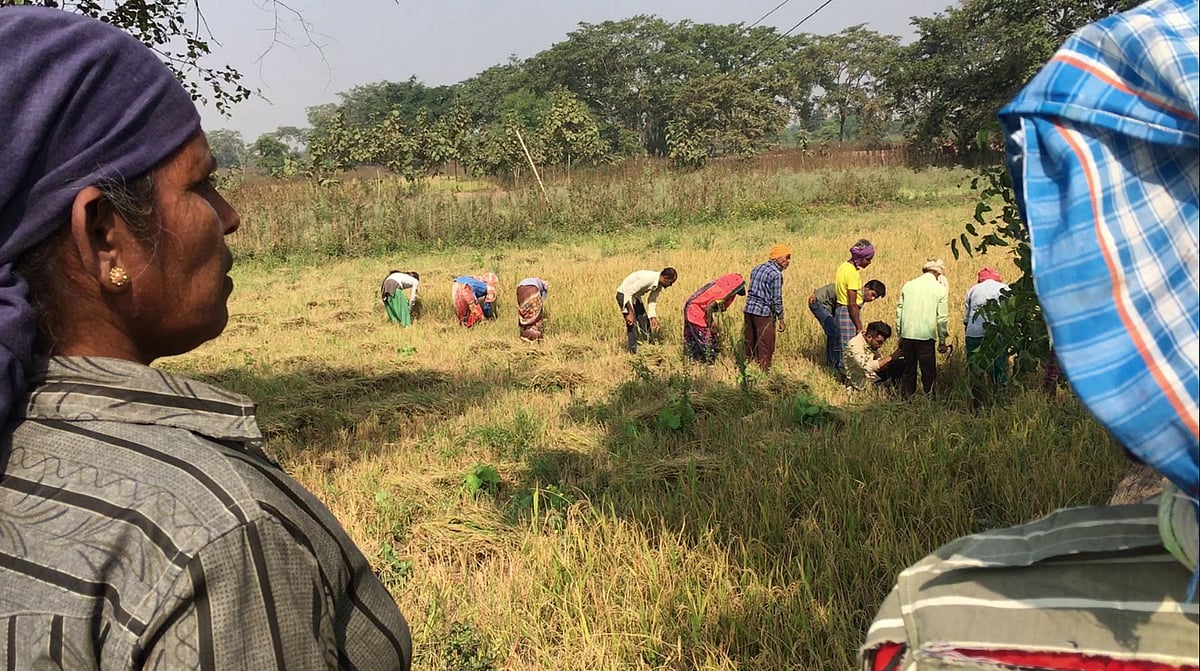 Farmers in Chhattisgarh are angry at the government for not receiving any aid despite a drought in some areas of the state. 