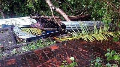 Pudukkottai: A view after Gaja cyclone hits Tamil Nadu