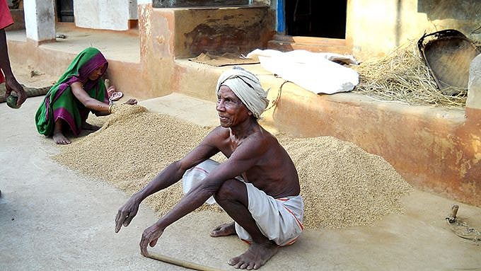 With environmental volatility increasing, farm yields in India will be less predictable, which will disproportionately impact small and marginal farmers.