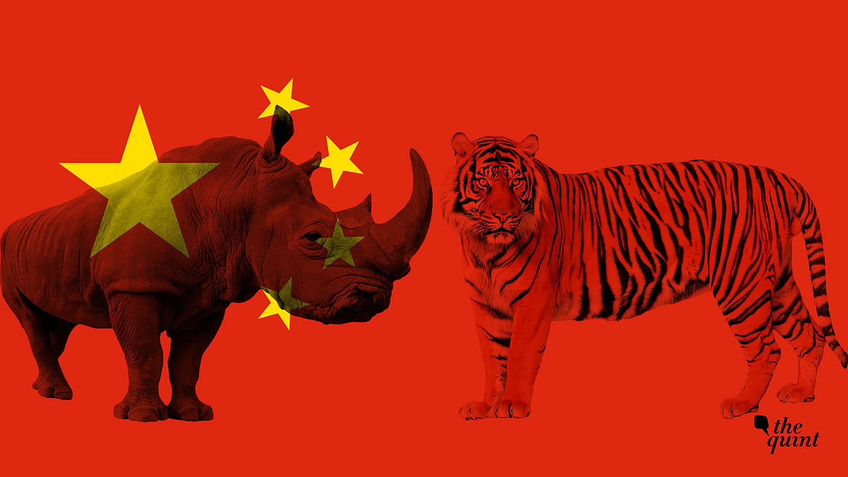 China’s decision to partially allow the use of rhino horn and tiger bone leaves potential loopholes for illegal wildlife trade to thrive.