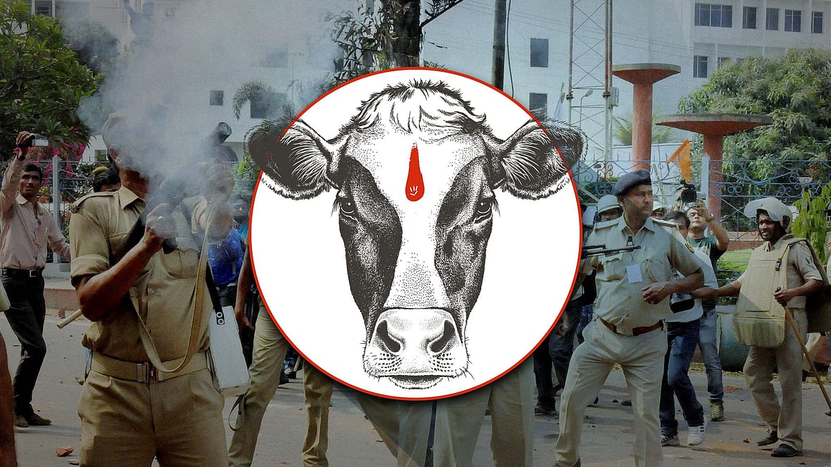 Image used for representation.&nbsp;