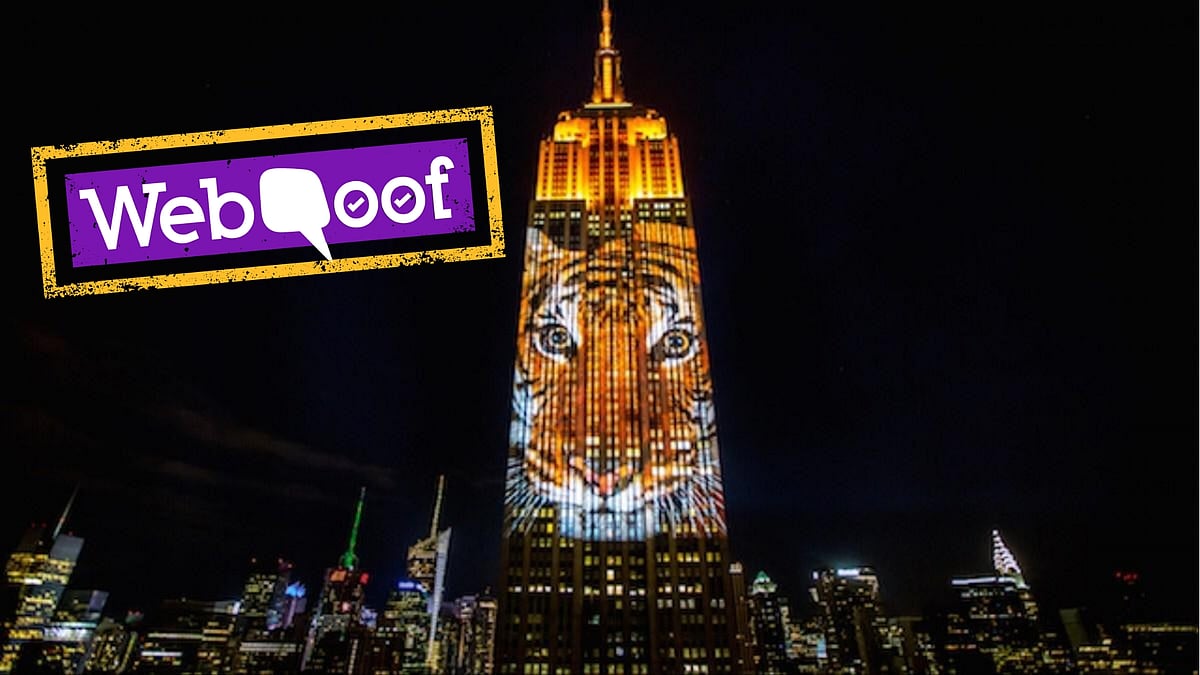 A photo of New York’s Empire State Building with a tiger projected on to its facade has gone viral.