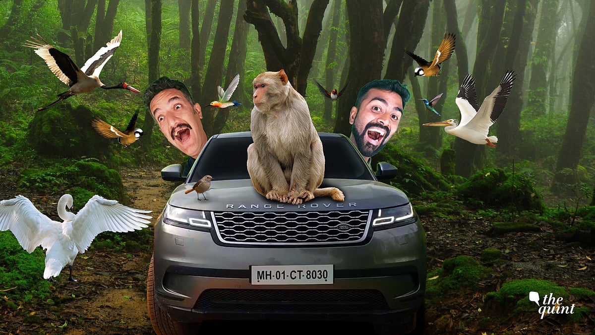 A roadtrip from Delhi to Bharatpur in a Range Rover Velar. 