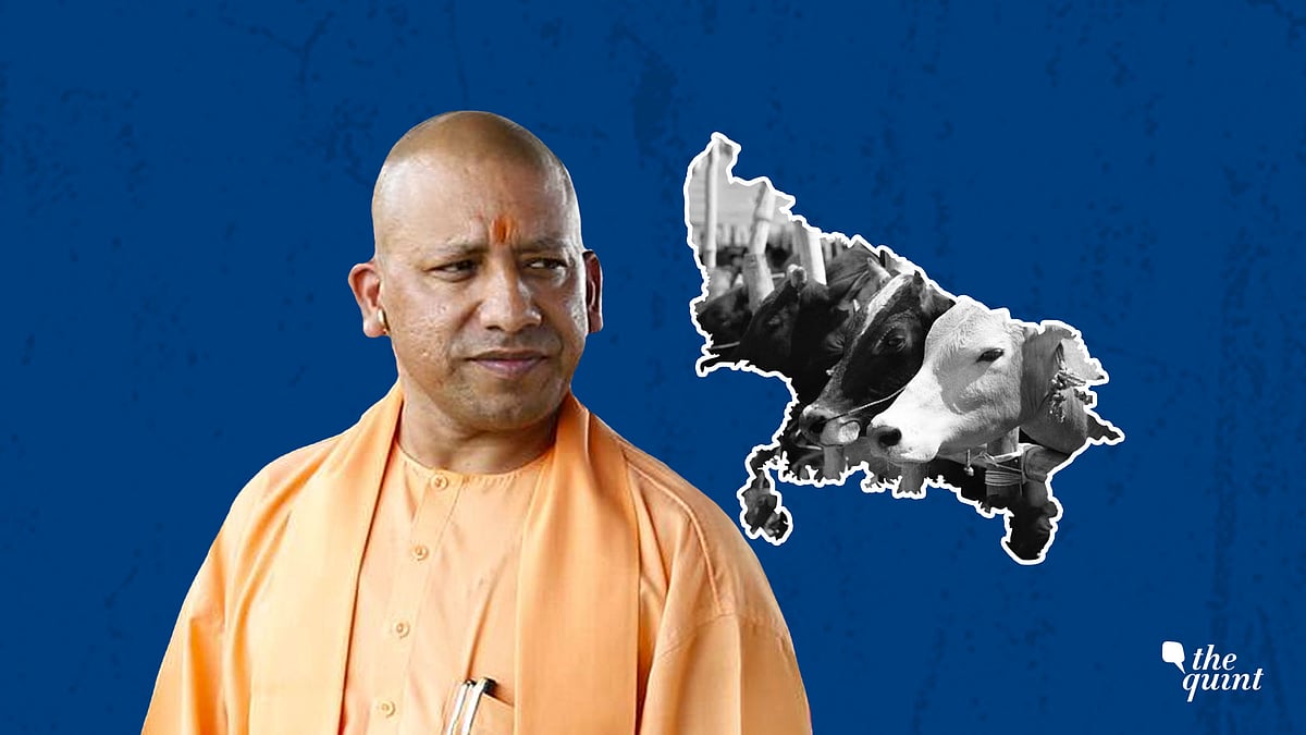 According to Fact Checker, UP reported the highest number of bovine-related attacks in 2018.