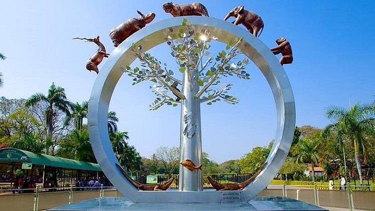 Nehru Park in Hyderabad Zoo. Image used for representation. 