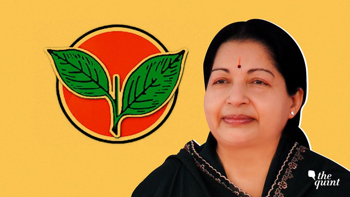 Two leaves in search for a custodian two years after ‘Amma’.