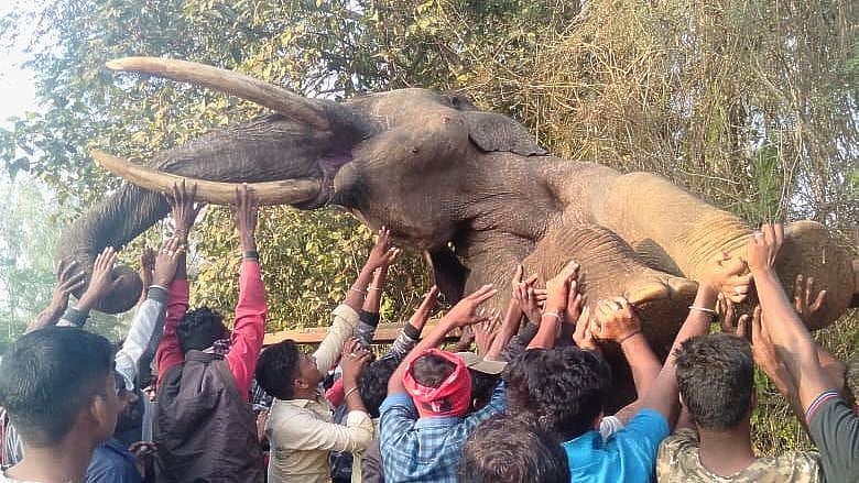 The tusker which was around 42 years old had entered human habitation and raided a field the previous night.