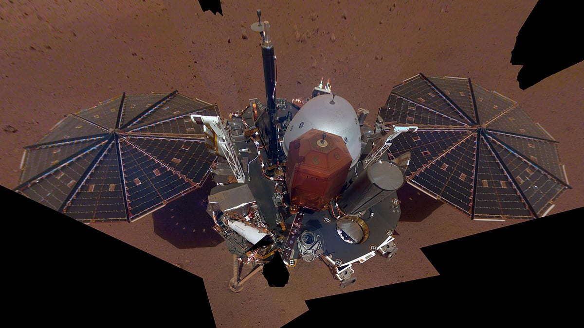 The selfie is a mosaic made up of 11 images.