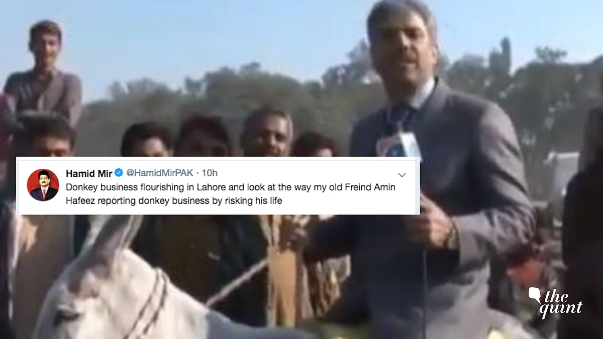 Amin Hafeez’s quirky reporting style evoked many laughs on the internet.