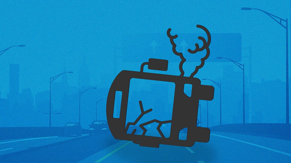 Image used for representation.