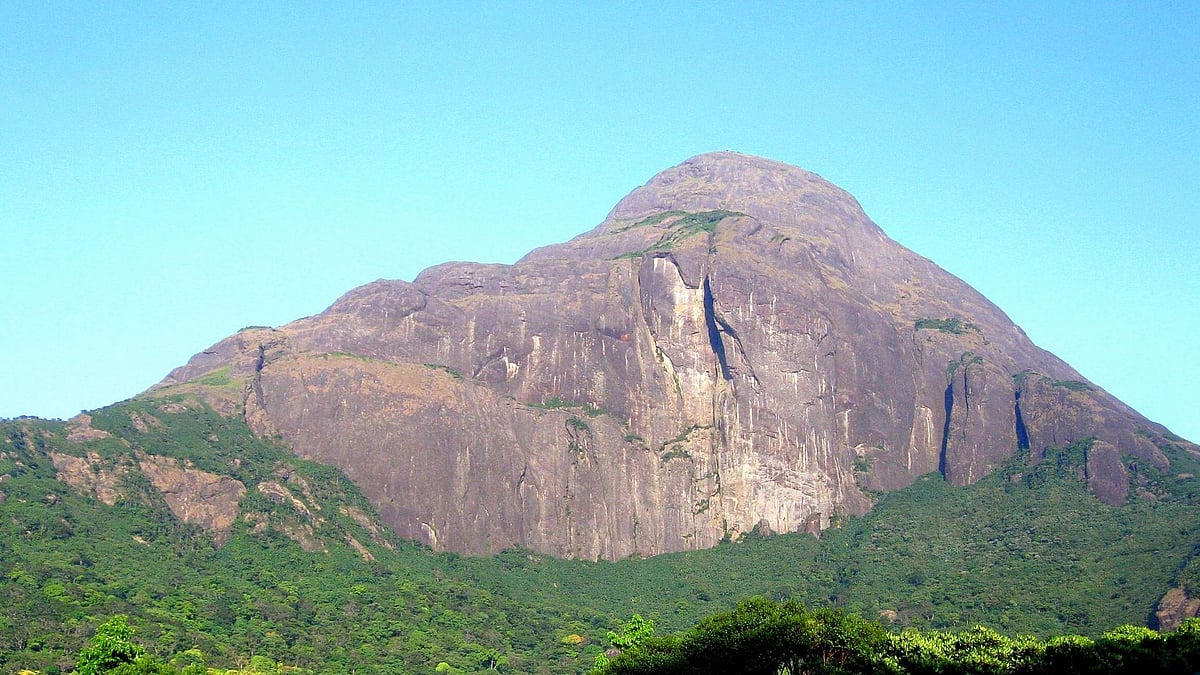 <div class="paragraphs"><p>Photo of Agasthyarkoodam, the second highest peak in Kerala.</p></div>