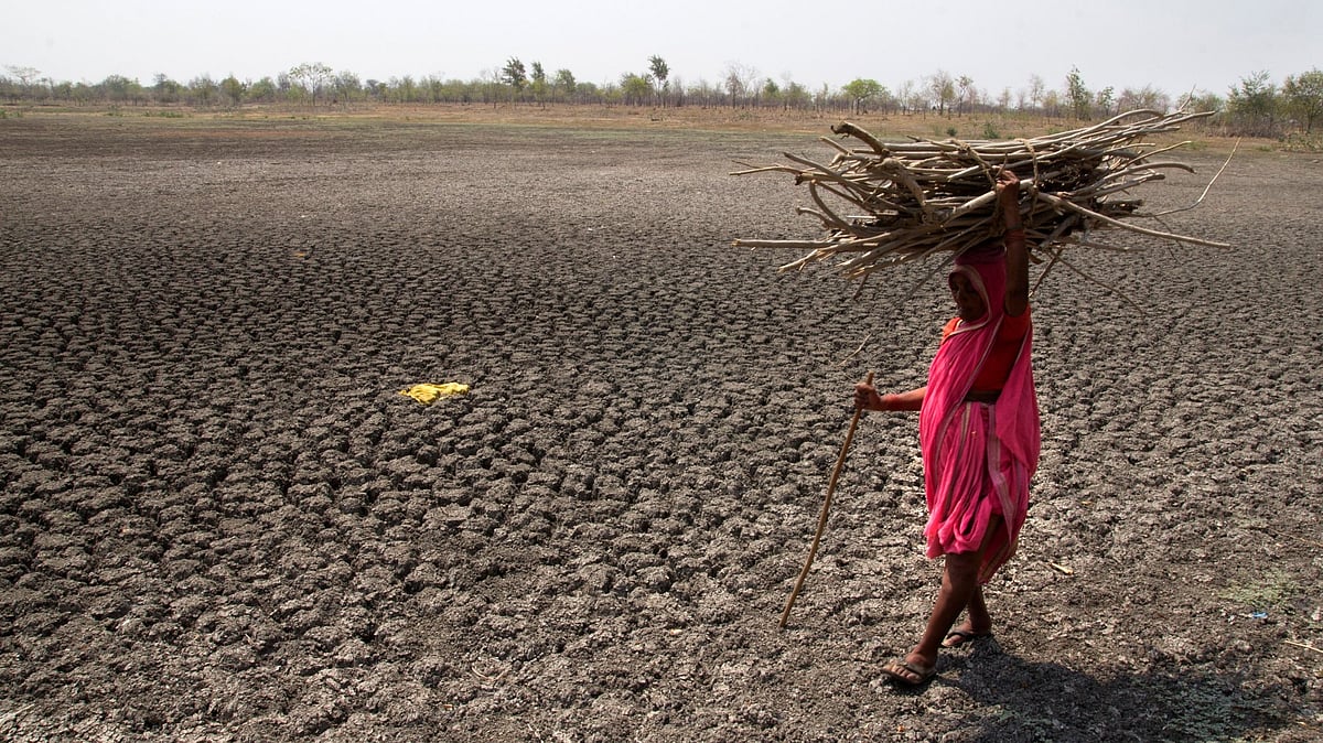 Over 900 villages located in 8 districts of Maharashtra will be declared drought hit.
