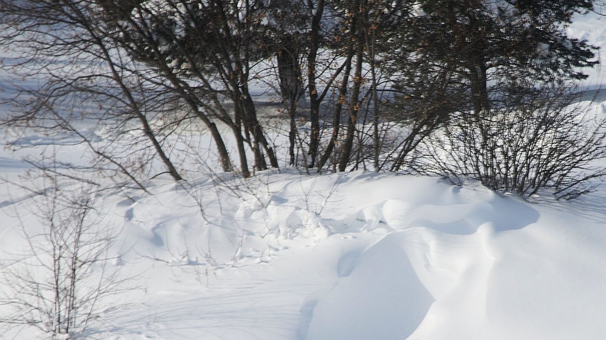 A record-breaking cold wave is sending literal shivers down the spines of millions of Americans.