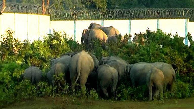 “Elephants have the first right on forest”, SC rejects plea of Assam’s Numaligarh Refinery to maintain the wall.