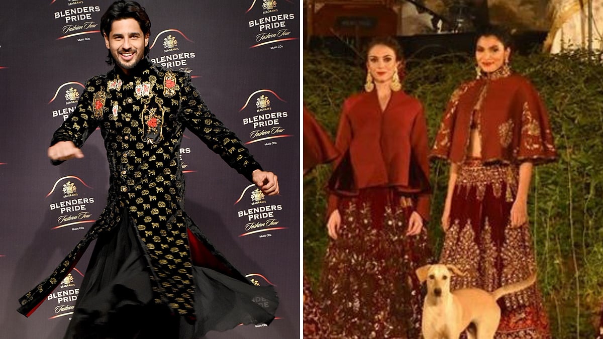 Sidharth Malhotra gets an unexpected guest on the ramp.&nbsp;