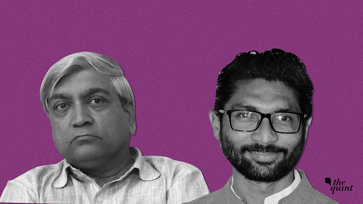 Professor Hemant Kumar Shah resigned as the acting principal of HK Arts College as a mark of protest after independent MLA from Vadgam Jignesh Mevani was disinvited from the college’s annual day programme 