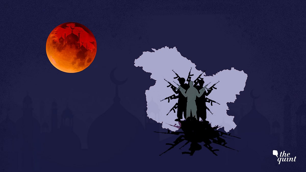 Image used for representational purposes.