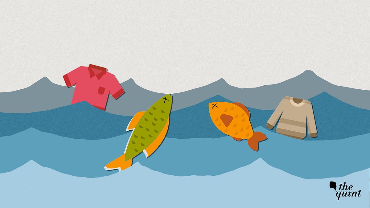 Image used for representational purposes.