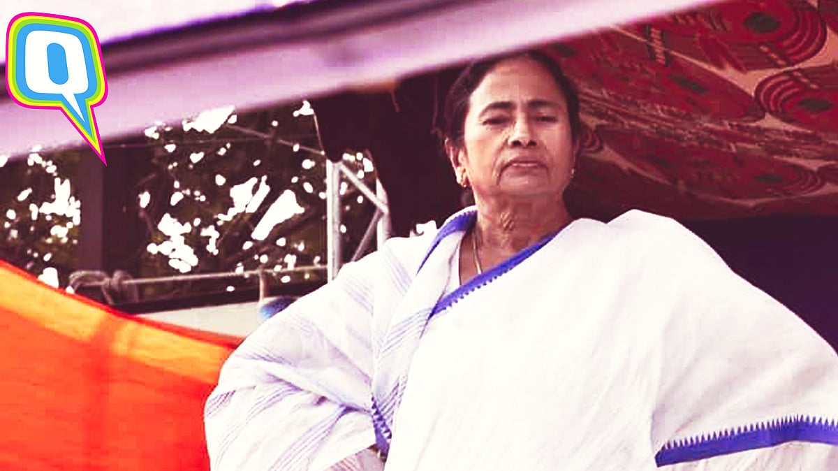 Mamata Didi ki shiksha.