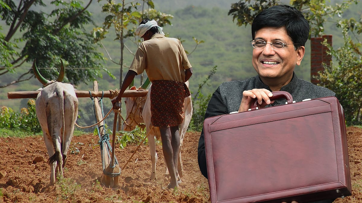 <b>(Photo: The Quint)</b>