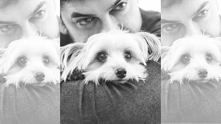 story-hero-img