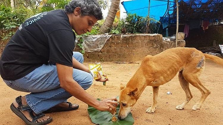 Mini Vasudevan (pictured) and and her husband Madhu Ganesh founded the Humane Animal Society.