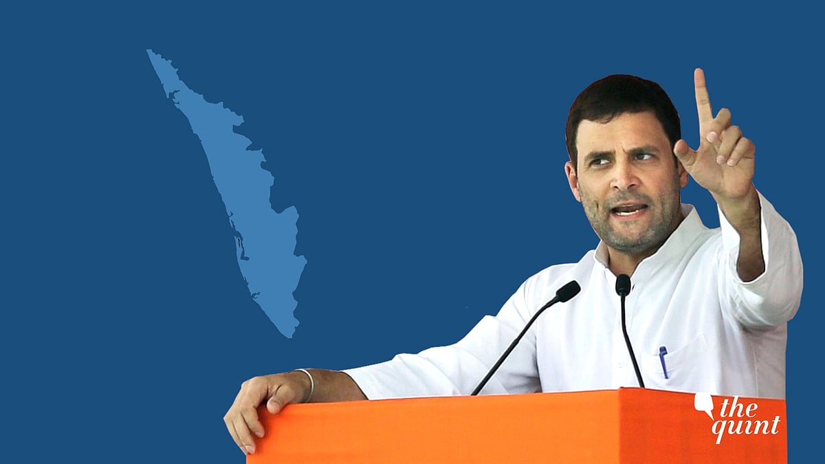 Former Congress party president Rahul Gandhi
