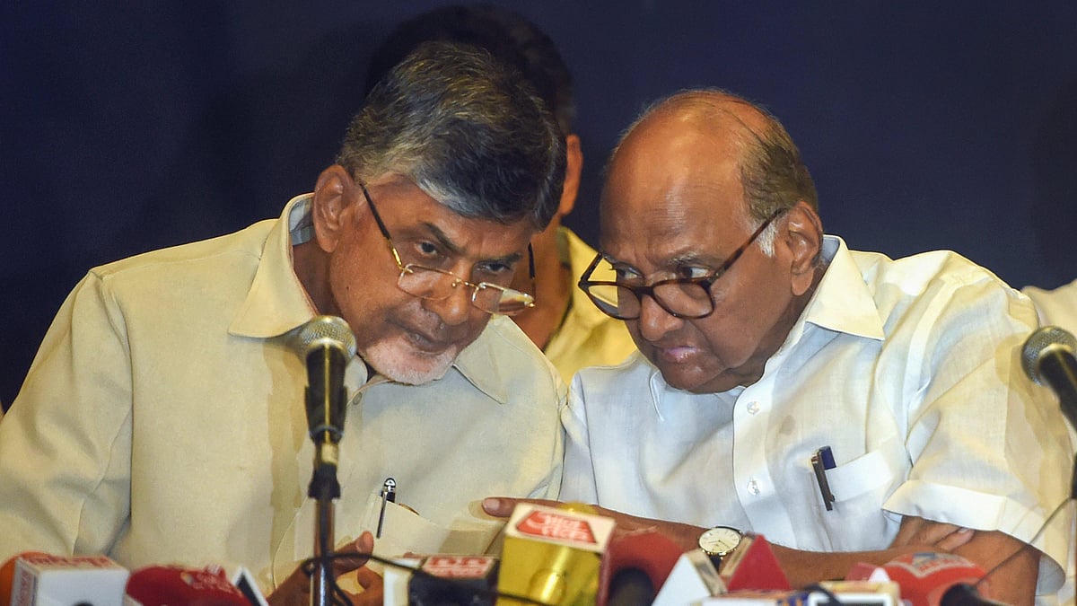 NCP Chief Sharad Pawar (right) along with Andhra Pradesh CM Chandrababu Naidu (left). 