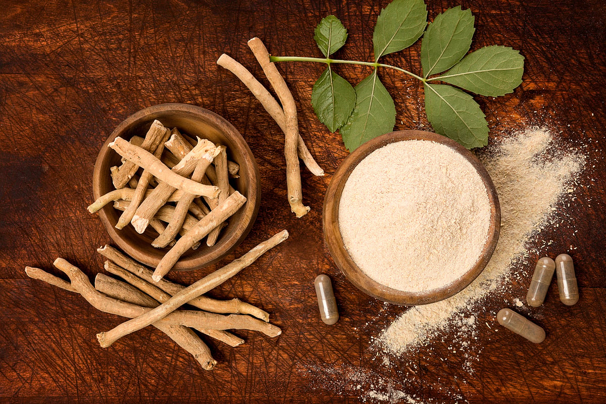 <div class="paragraphs"><p>Check out the list of herbs that could help you to heal your gut.</p></div>