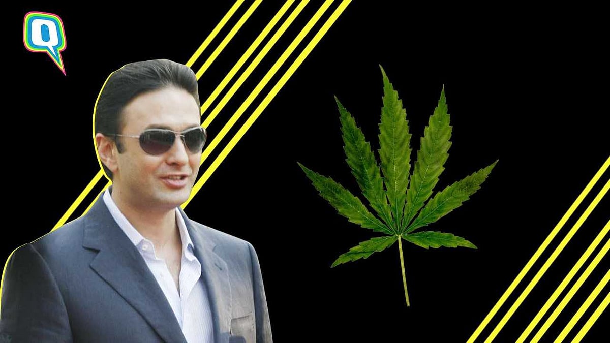 Ness Wadia’s Ski Trip In Japan Went Downhill