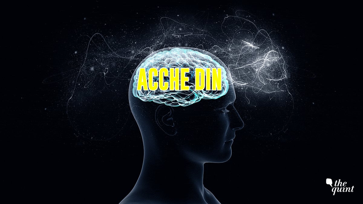 GIF used for representational purposes.