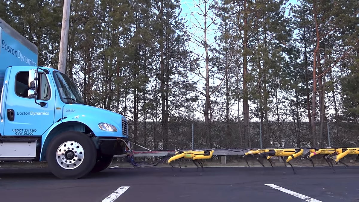 The Boston Dynamics dogs learn to behave in a pack like sled dogs.
