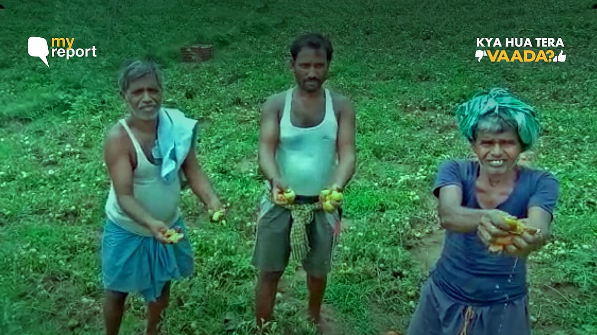 Farmers in Jharkhand’s Deoghar have lost lakhs of rupees.