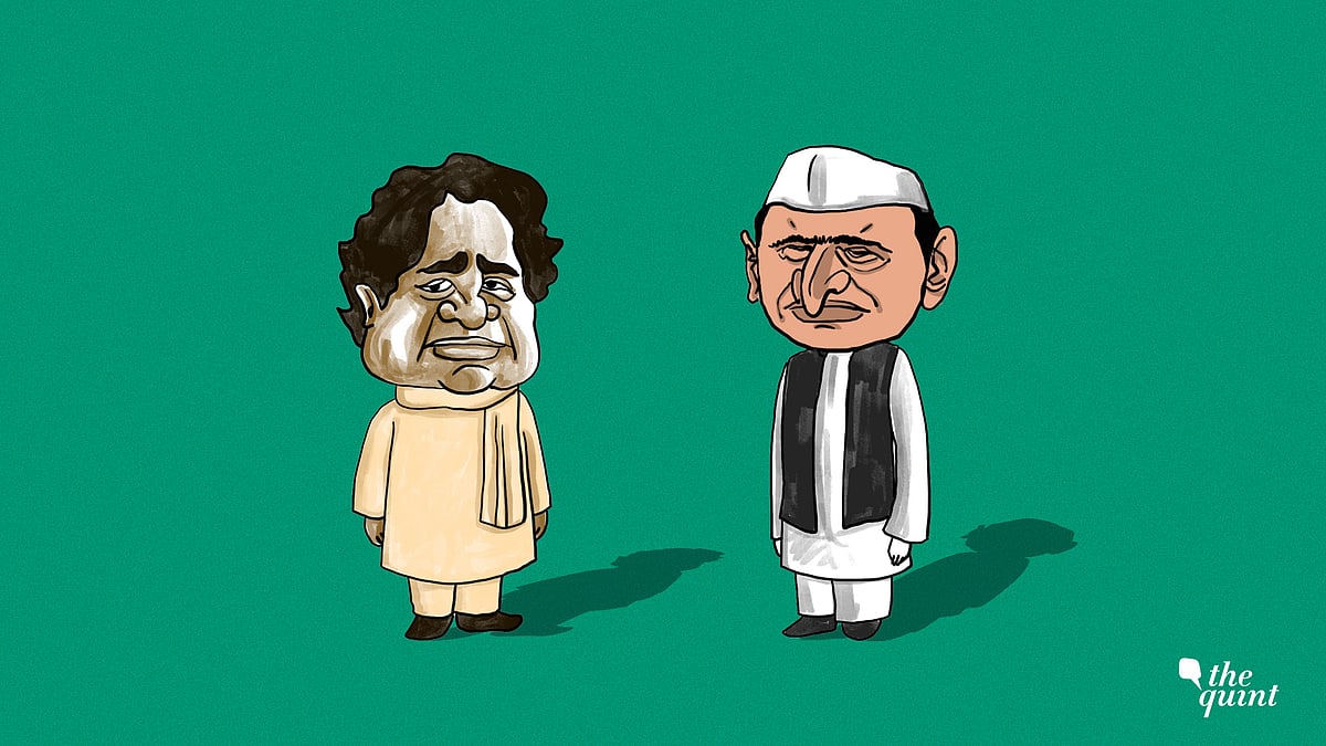 Image of Mayawati and Akhilesh used for representation.