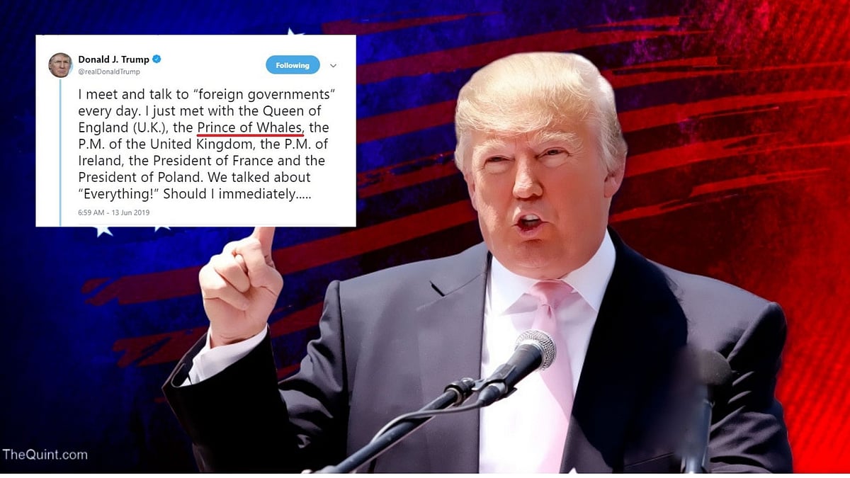 US President Donald Trump was trolled on Twitter for having mentioned that he recently met the “Prince of Whales.”