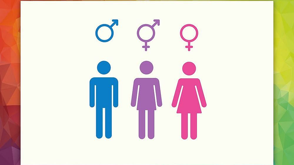 What’s the difference between sex and gender? And how are those different to gender identity?
